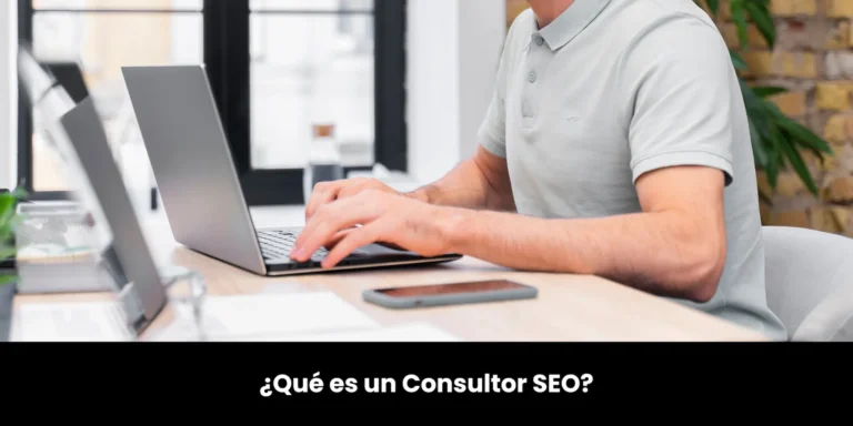 qué es un consultor seo