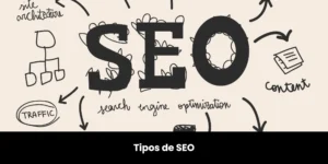 tipos de seo