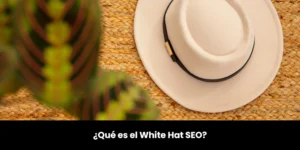 white hat seo