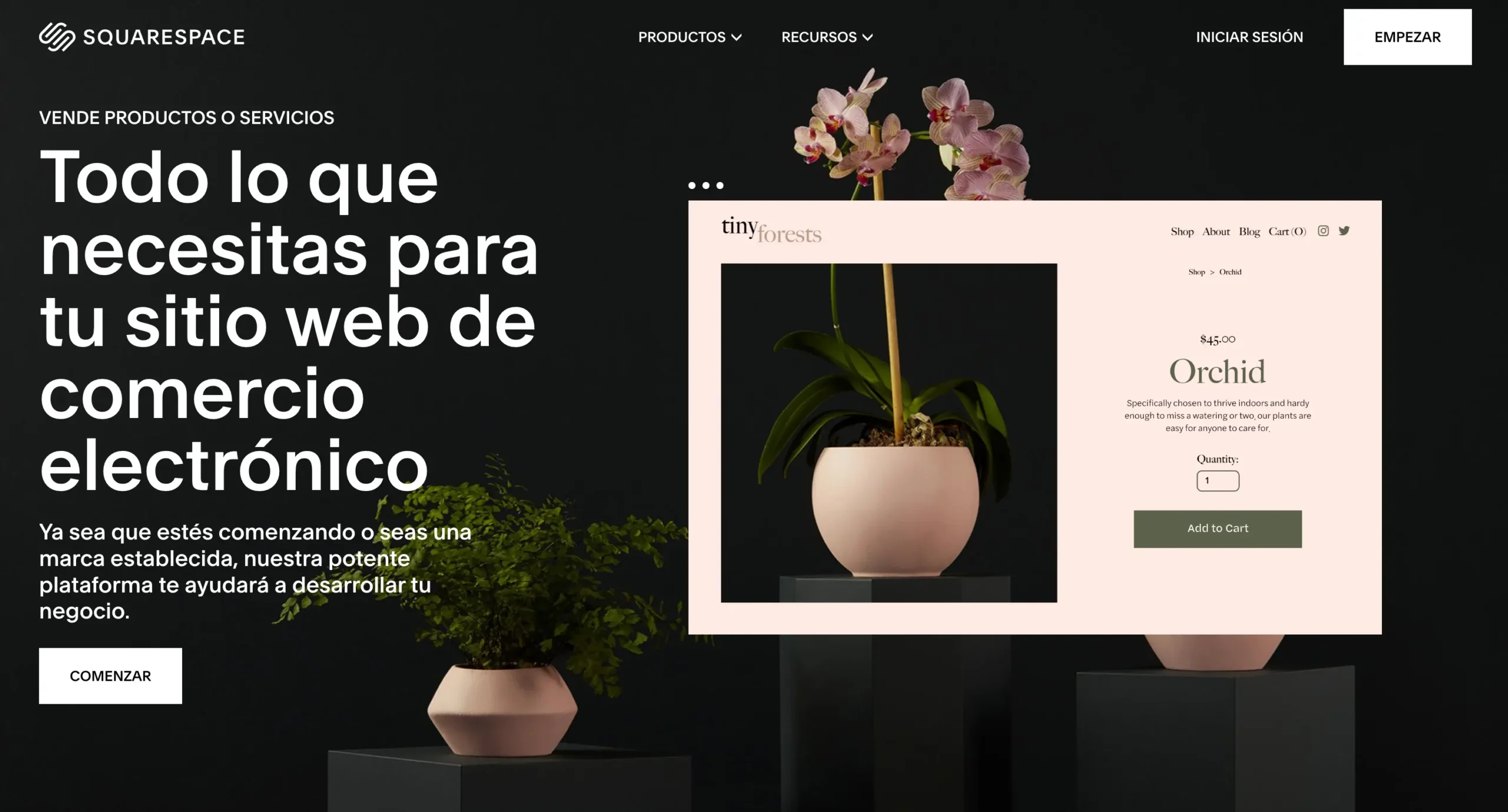 cms para ecommerce squarespace