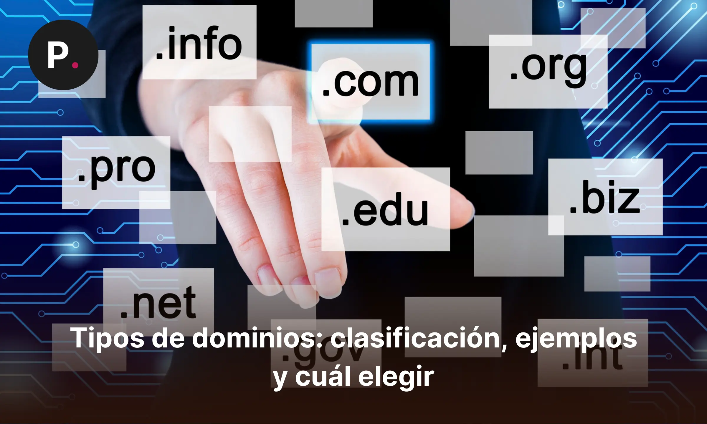 tipos de dominios