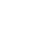 sitio web personalizado icono